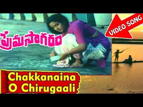 Chakkanaina O Chirugaali Video Song - Prema Sagaram Telugu Movie - Ramesh, Nalini - V9videos