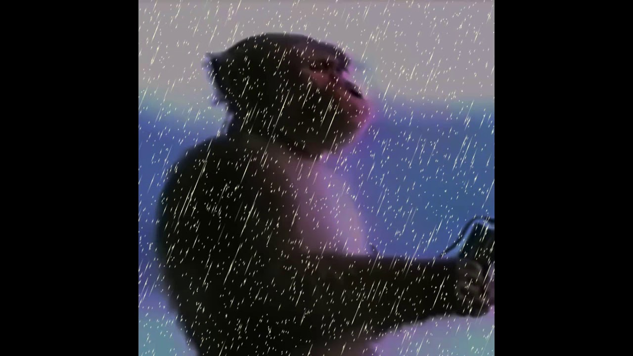 funee monkee slowed+reverb