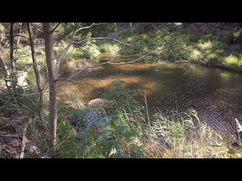 Lederderg Gorge Soundscape - Birds and Gentle Water.
