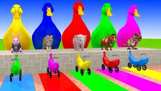 Long Slide Game With Cow Elephant Gorilla Hippopotamus Tiger 3d Animal Game Funny 3d Animals screenshot 5