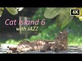 【猫×ジャズ 6th】癒しの猫島 猫歩き2時間 4K映像 夏の猫 Cat Island in JAPAN with JAZZ. Japan’s cat island is paradise
