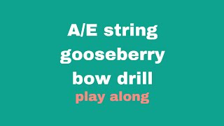 Play Along - Twinkle with Gooseberry (A & E) strings)