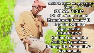 Nguzo ya umeme = kulwa elisha =  DEEJAY B NGUDU KWIMBA  MSAMBAZAJI 0768671221