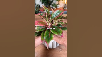 Propagate Better: Simple Steps