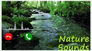 Best Nature Sound Ringtone| Nature Sound Ringtone 2022|Best Nature Ringtone MP3 Download|Ringtone