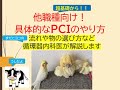 他職種向け~具体的なPCIのやり方(PCIの流れや物の選び方など基礎から循環器内科医が解説します)