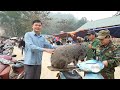 Robert sells biggest pig at the highland market. Green forest life