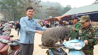 Robert sells biggest pig at the highland market. Green forest life screenshot 1