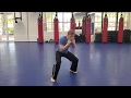 Online Course: Adult Krav Maga: Lesson #1