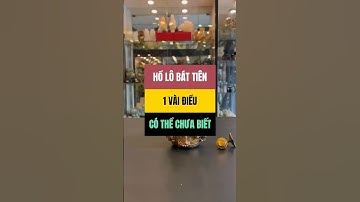 Hồ lô bát tiên, 1 vài điều có thể chưa biết #holobattien #holo #holodong #phongthuy #suckhoe