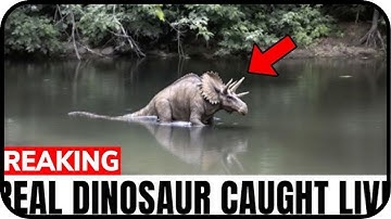 20 Extinct Animals Caught ALIVE On Camera!