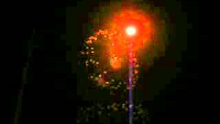 DSCF3196