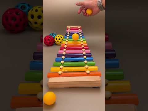 صدى متدحرج فيديو ممتع 