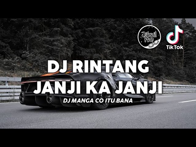 DJ MANGA CO ITU BANA - DJ RINTANG JANJI KA JANJI VERSI BREAKBEAT TIKTOK VIRAL 2023 ! class=