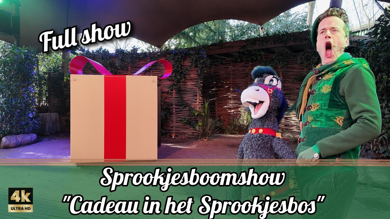 Er ligt een groot cadeau in het sprookjesbos, maar voor wie? - POV 4K