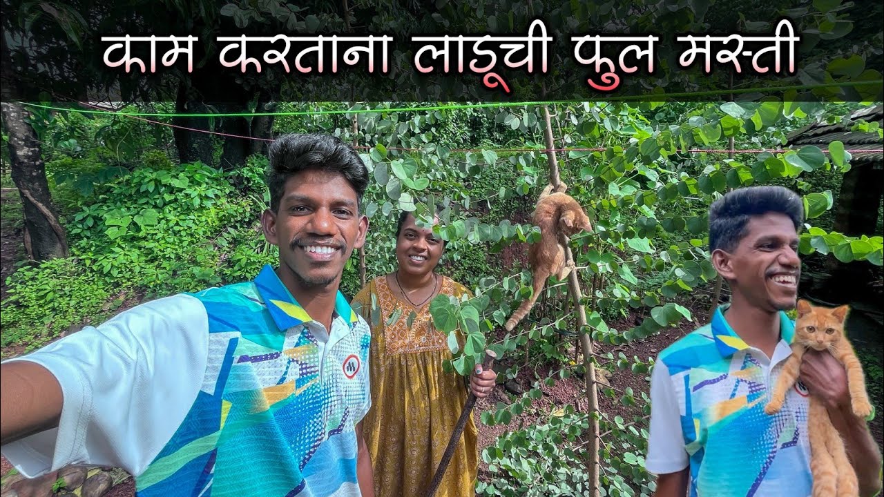 काकडीच्या वेलींसाठी माटव घालताना लाडूची फुल्ल मस्ती|आपट्याची शिरडा तोडली