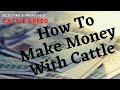 HOW TO MAKE MONEY WITH CATTLE | Selecting A Profitable Cattle Breed For Your Farm