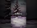 5 Friends Drove to Basketball Game and Vanished Forever in the Mountains