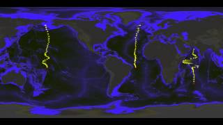 Global Ocean Flow