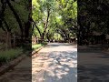 #nature #naturelovers #bhu #satisfying #natural