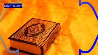 Full Quran MP3 with Soft Voice screenshot 3