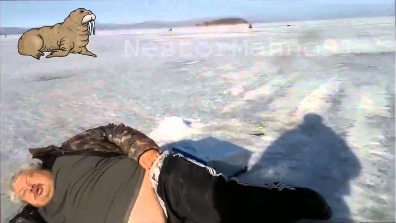 нормально на льду видео