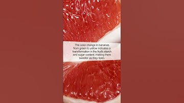 The Secret of Banana Ripeness: What the Color Indicates