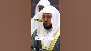 ماهر المعيقلي #تلاوة_خاشعة #اكسبلور #راحة_نفسية #قرآن #قرآن_كريم #ذكر_الله #ماهر_المعيقلي .