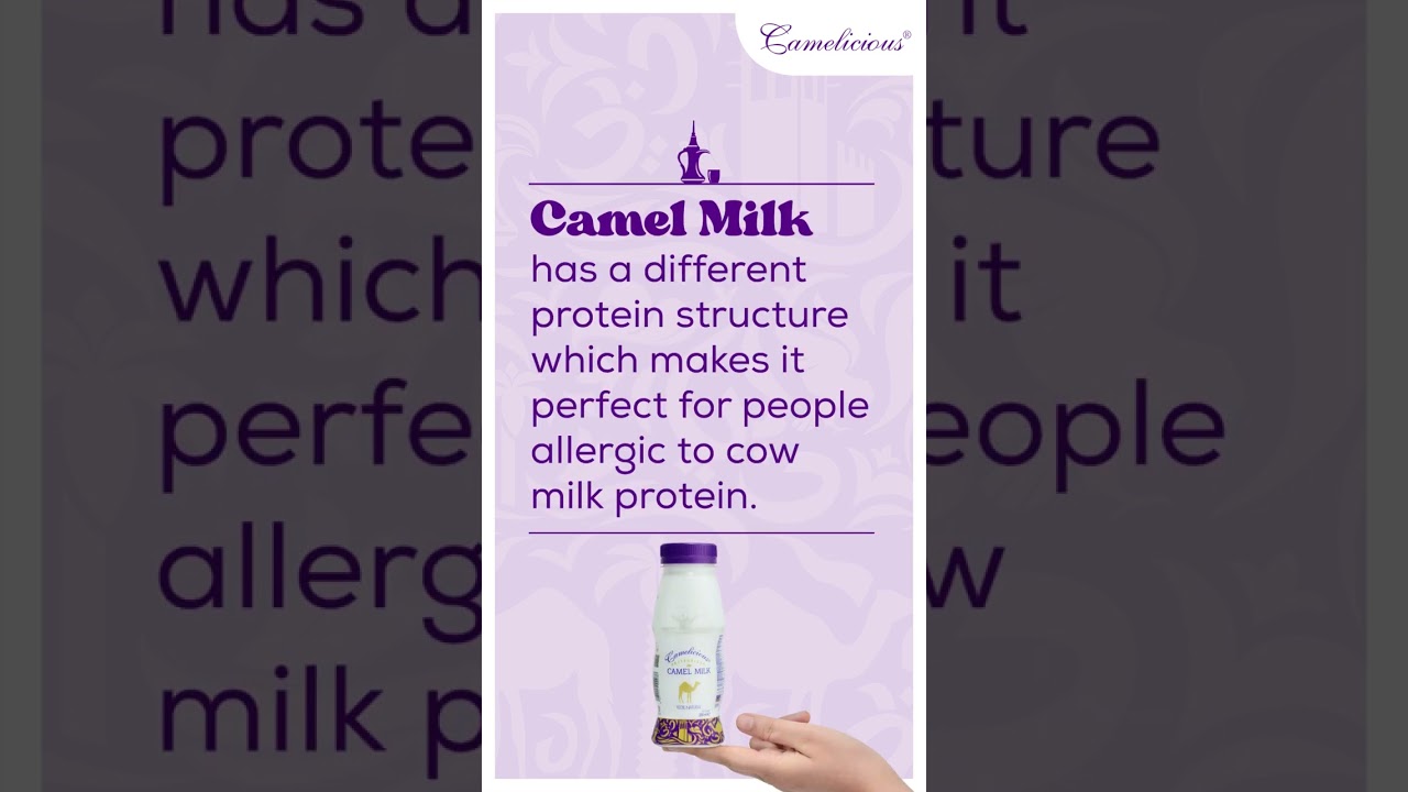 Things you didn't know about Camel milk - 2