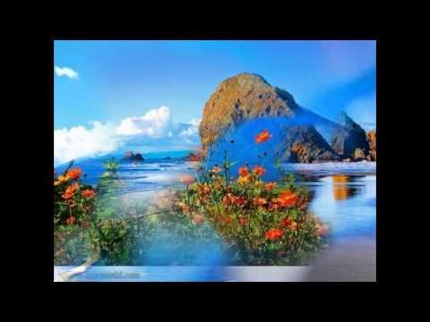 @ტვირთა მამუკა თოდაძემ