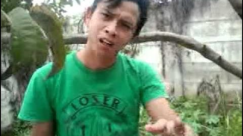 Meggy Z - Anjing dan sampah by Buluk (bule Kupluk)