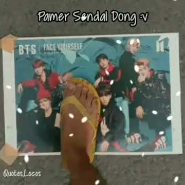Story' wa sendal swalow