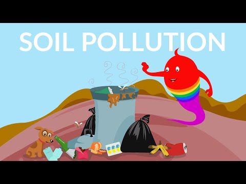 Video: Sources and causes of soil pollution. Types of soil pollution and consequences for the environment