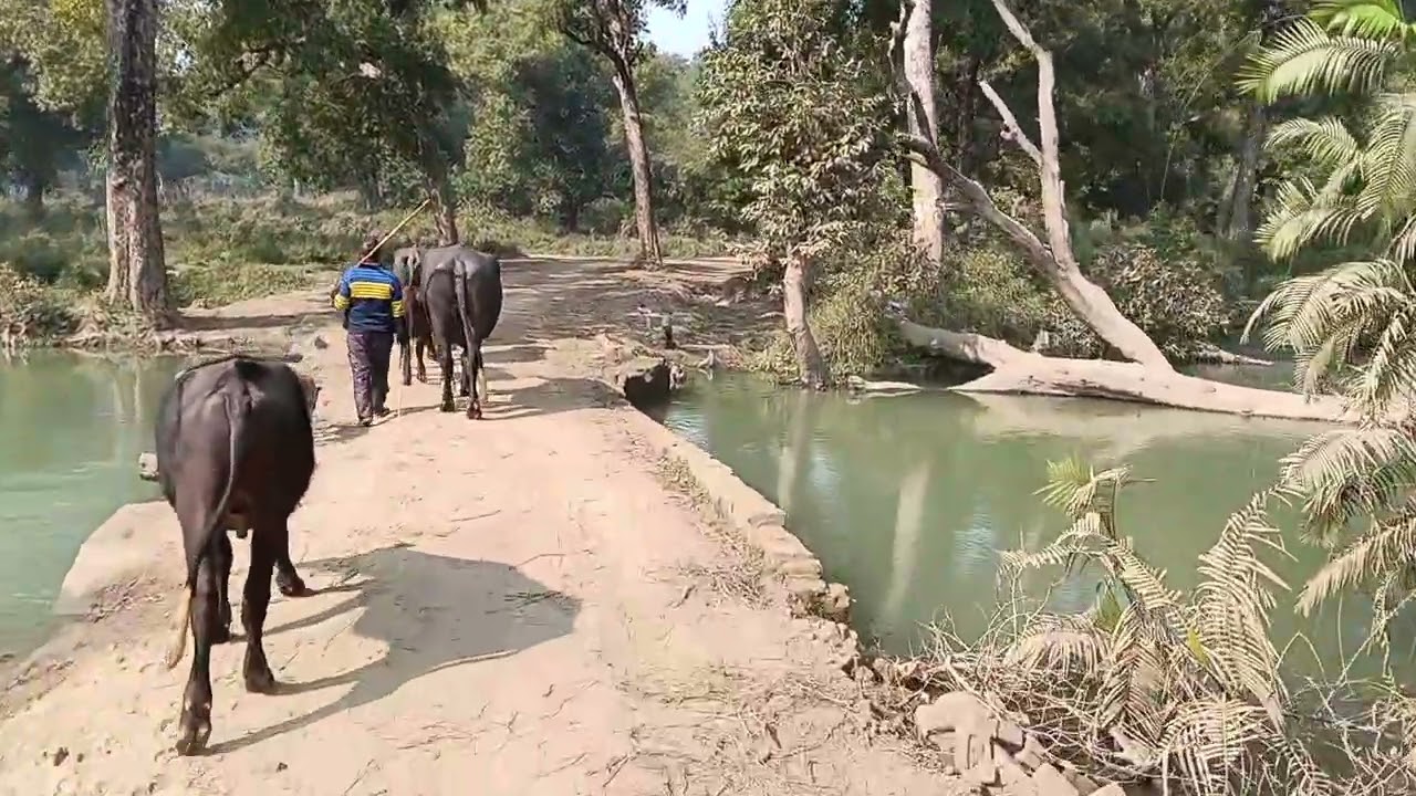  Bokada Mata ka mandir darshan karte huye up Uttar pardesh India full video 4k Touristworld 2 