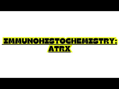 IMMUNOHISTOCHEMISTRY: ATRX