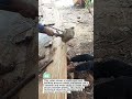 Manual Boat Construction | Powerful Hammer Technique in Traditional Woodworking