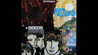 THE SEEDS - Flower Lady & Her Assistant
THE SEEDS - Flower Lady & Her Assistant
ALBUM Future (1967)
Future is the third studio album by Los Angeles rock band the Seeds. The album is a notable shift in musical direction for the band as they moved away from garage rock, and began experimenting more with psychedelic rock. Upon its release in 1967, the album reached the Top 100 on the Billboard 200, but their single, A Thousand Shadows, was less successful than The Seeds previous hits.
Sky Saxon - lead vocals, bass guitar, cover, artwork
Jan Savage - lead guitar, gong, backing vocals
Harvey Sharpe - bass guitar
Daryl Hooper - organ, sitar, piano, backing vocals
Rick Andridge - drums, backing vocals THE SEEDS - Flower Lady & Her Assistant