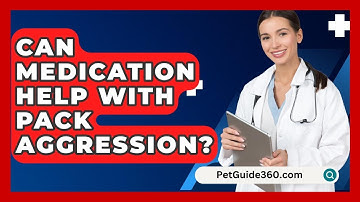 Can Medication Help With Pack Aggression? - PetGuide360.com