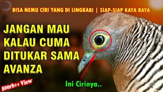 Download Lagu Calon Jutawan Baru 2025 | PERKUTUT KATURANGGAN YANG BIKIN KAYA RAYA TAHUN 2025 | Sedang Diburu MP3