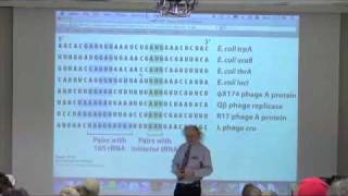Protein Synthesis II