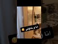 كنا في دار محلا لمتنا ياما