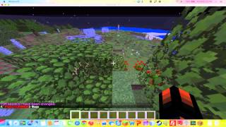 Minecraft Server Hosting Review - OwnageHosting