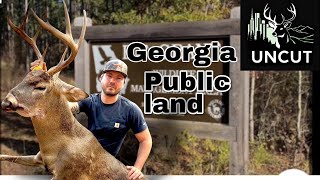 Georgia public land quota hunt. BF Grant WMA! Saddle Hunting public
