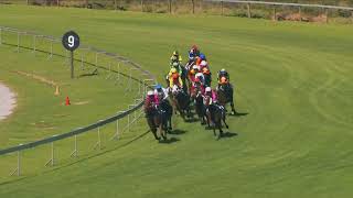 Vidéo de la course PMU PRIX TAB TELEBET 0861 000 822 FM 64 HANDICAP