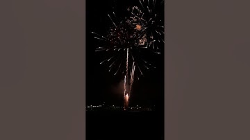 Trash Pandas Forth of July Fireworks