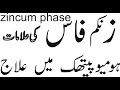 Zincum Phase Homeopathic Medcn Or Is Ka Istemal 