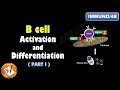 B cell Activation and Differentiation (PART 1): T Independent Activation (FL-Immuno/48)