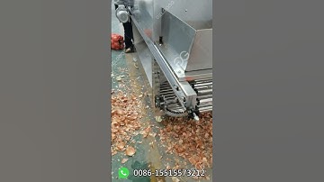 How does an onion peeling machine work?Onion Peeler