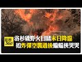 洛杉磯野火Day 3 巴沙迪納、伊頓火區控制率依然0% 大谷翔平豪宅快遭波及 【國際360】20250110@全球大視野Global_Vision