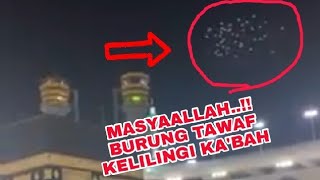 VIRAL.. DISAAT MANUSIA DILARANG BER TAWAF DI AREA KA&#39;BAH. ALLAH DATANGKAN BURUNG2 UNTUK BERTAWAF